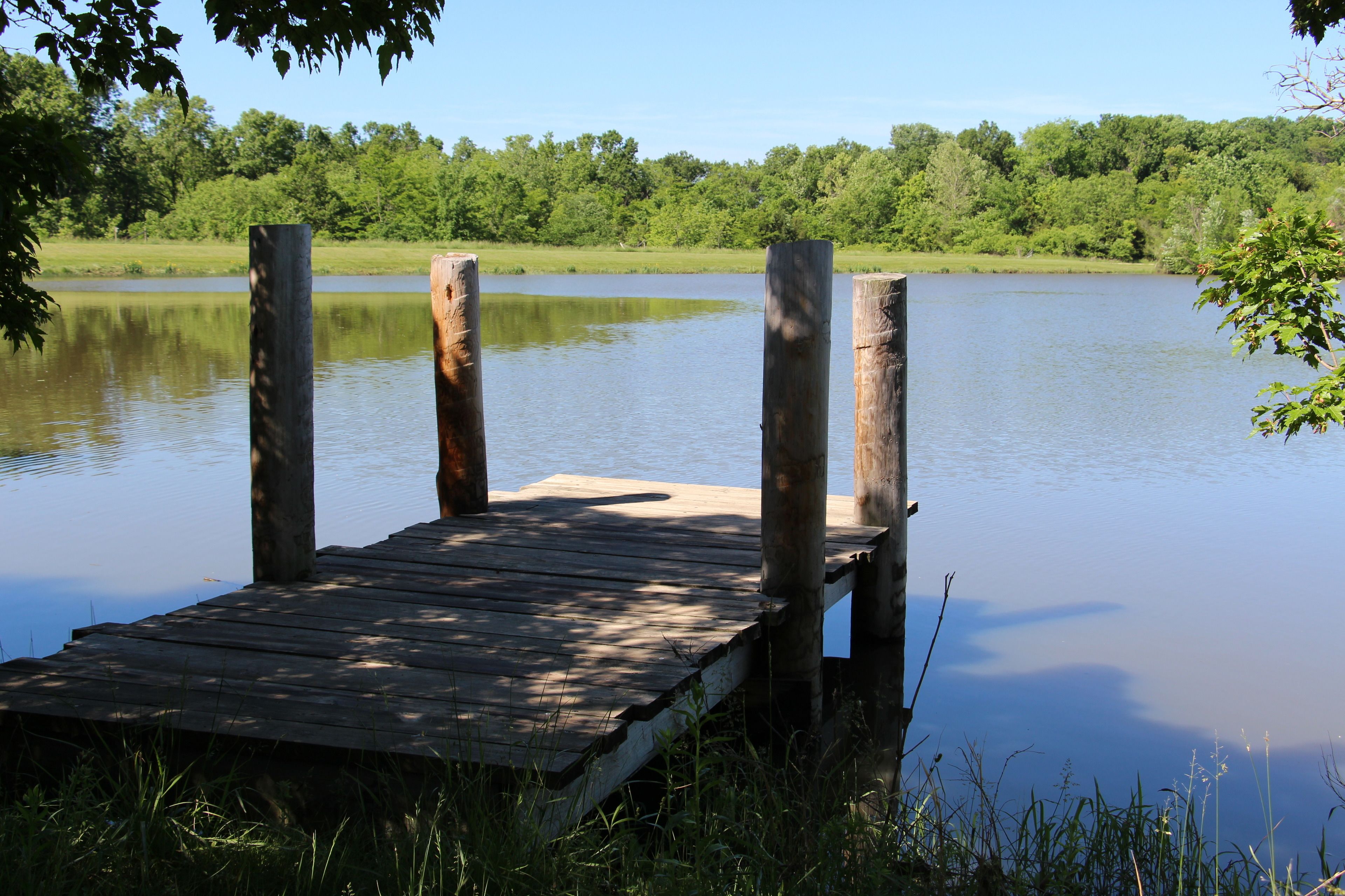 A wooden dock extending into a calm lake surrounded by lush greenery.