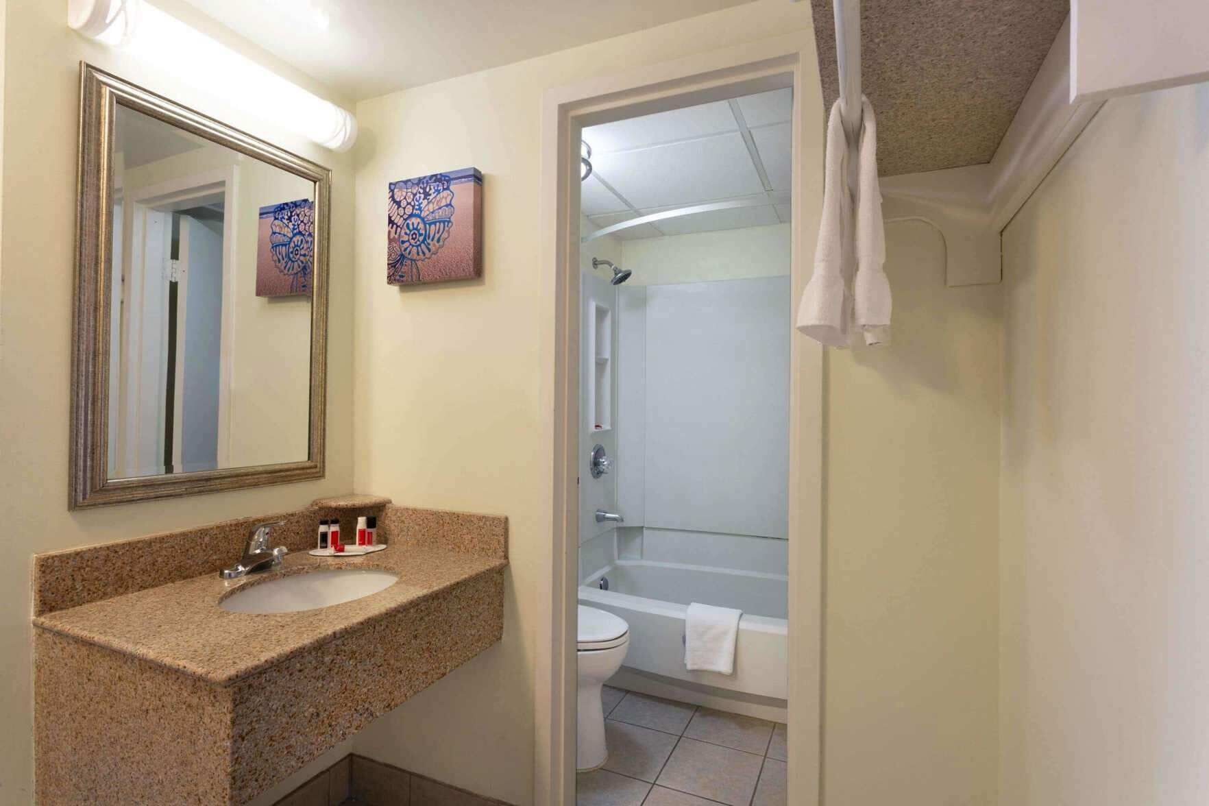 Bathroom | Combined shower/tub, free toiletries, hair dryer, towels