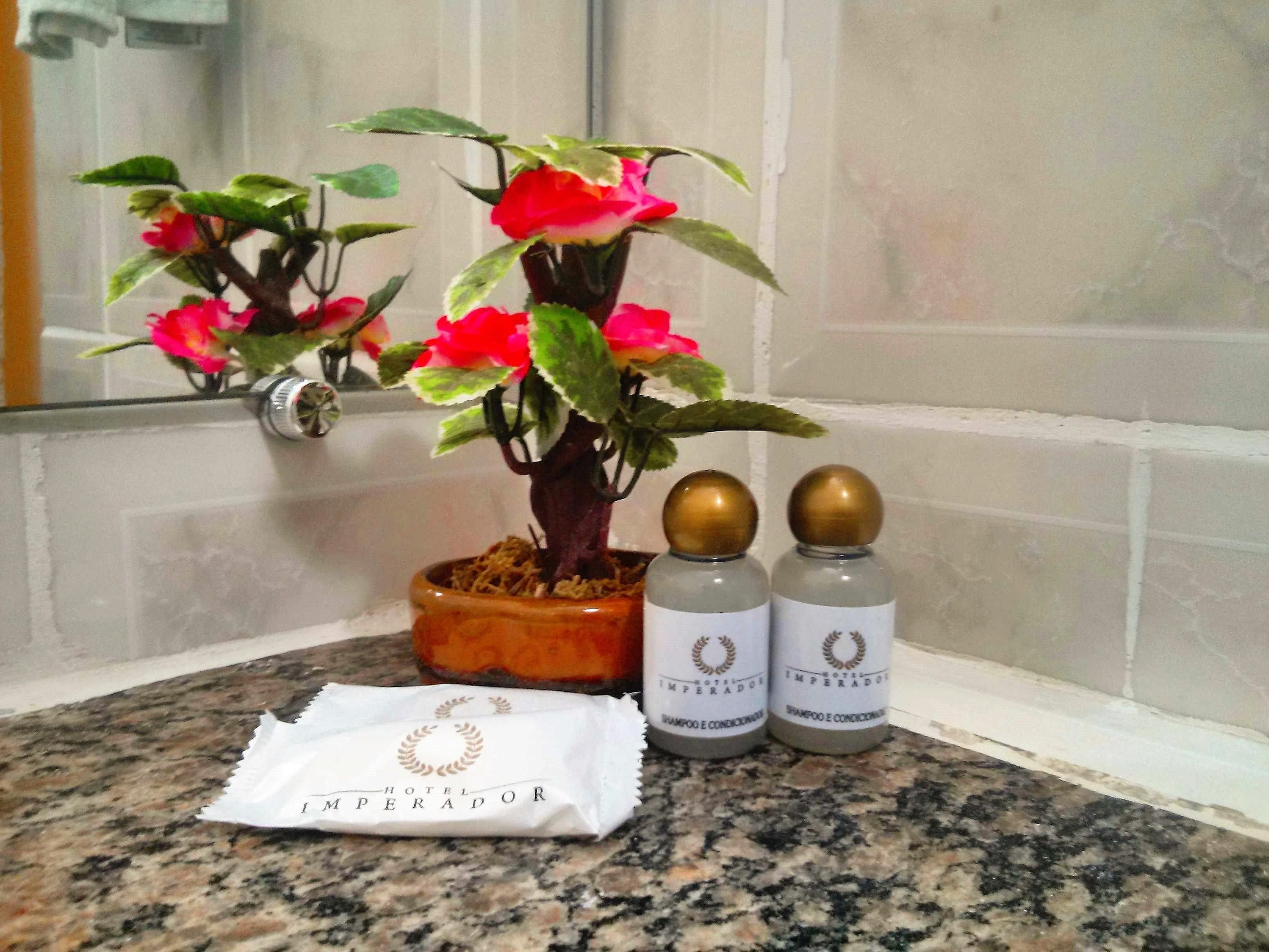 Una encimera de baño con una planta en maceta, dos botellas de champú y una toalla de hotel.