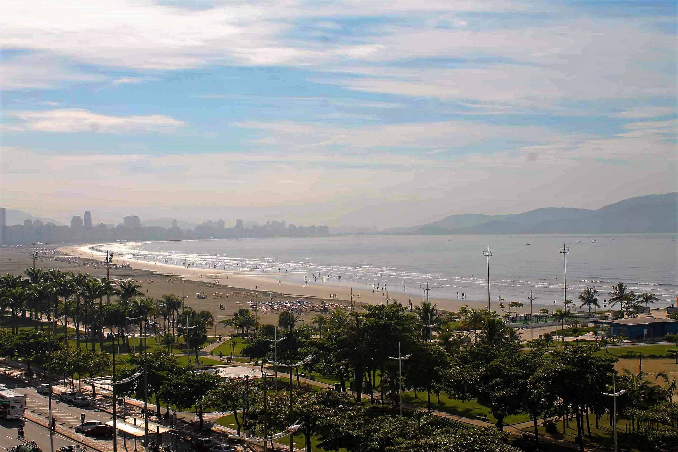 Un paysage urbain côtier avec une plage, des palmiers et une silhouette de ville visible au loin.