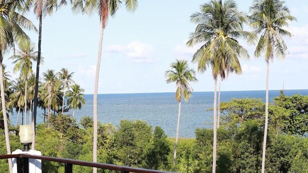 A view of tall palm trees and a body of water, likely a sea or ocean, from a balcony or terrace. -  Samui Natien Village (Koh Samui)