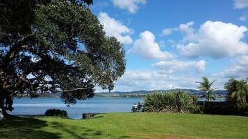 Uma área gramada com uma árvore grande e vista para um lago.