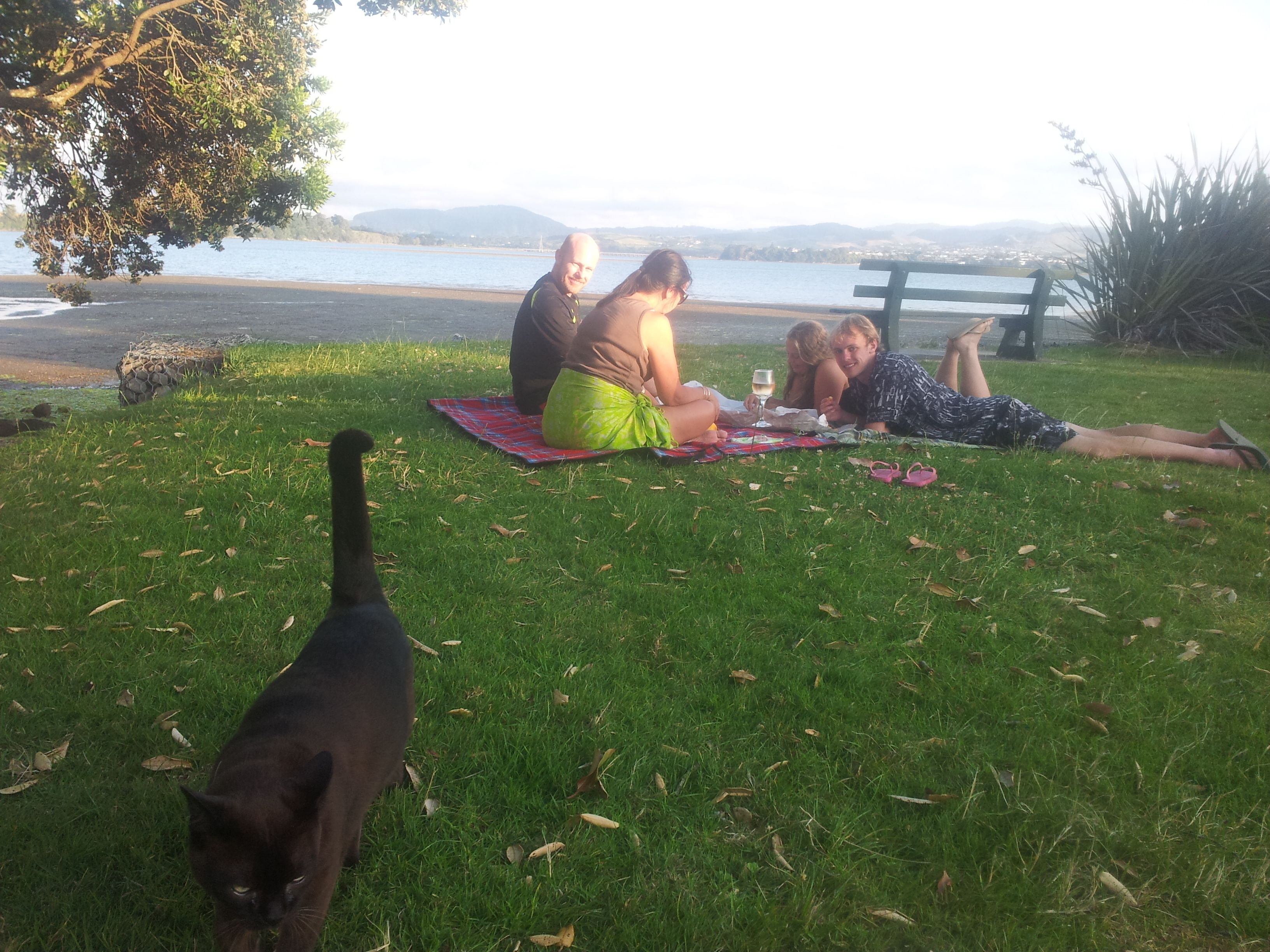 A group of people sitting on a blanket by a lake with a dog nearby.