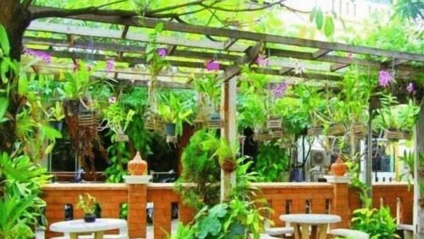 Een overdekt terras met bakstenen muren en tafels, omringd door potplanten en groen.