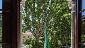 An open doorway leading to a balcony with a view of a large tree and a green umbrella.
