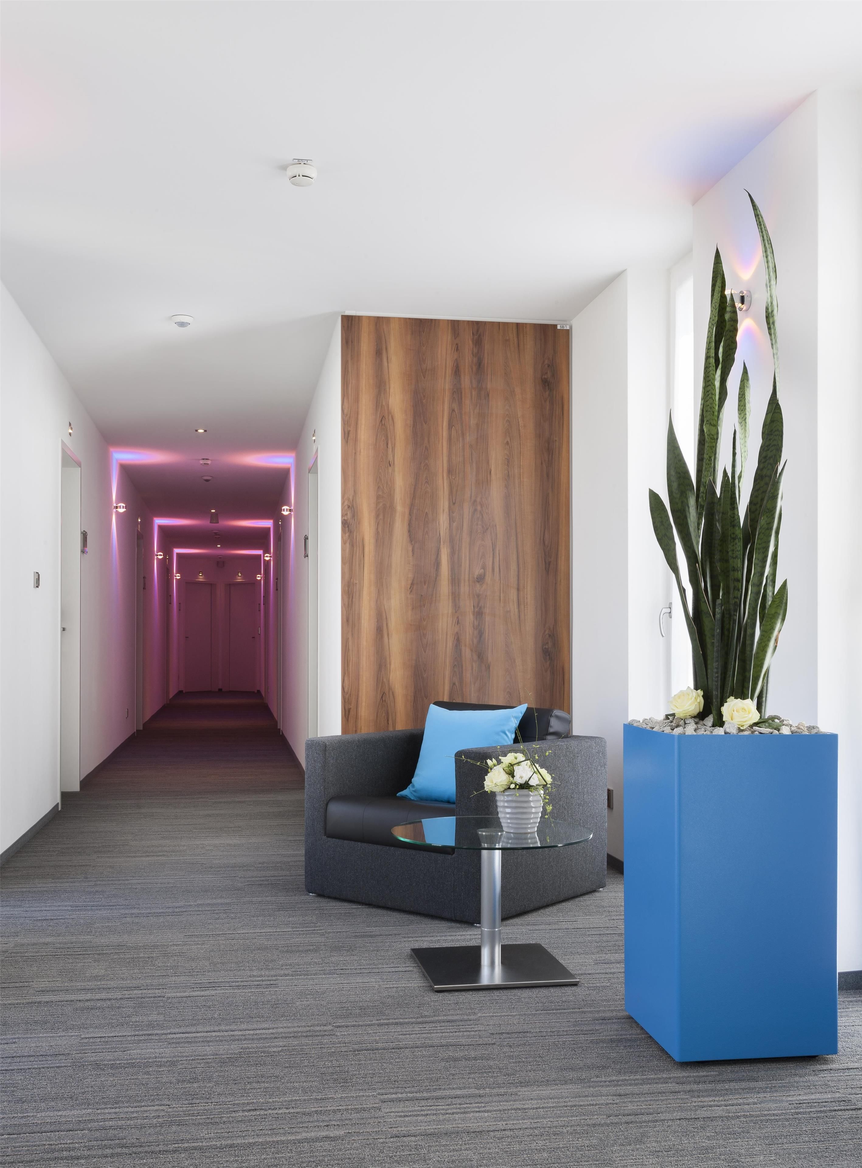 A modern reception area with a curved sofa, a glass coffee table, and a blue planter with a plant.