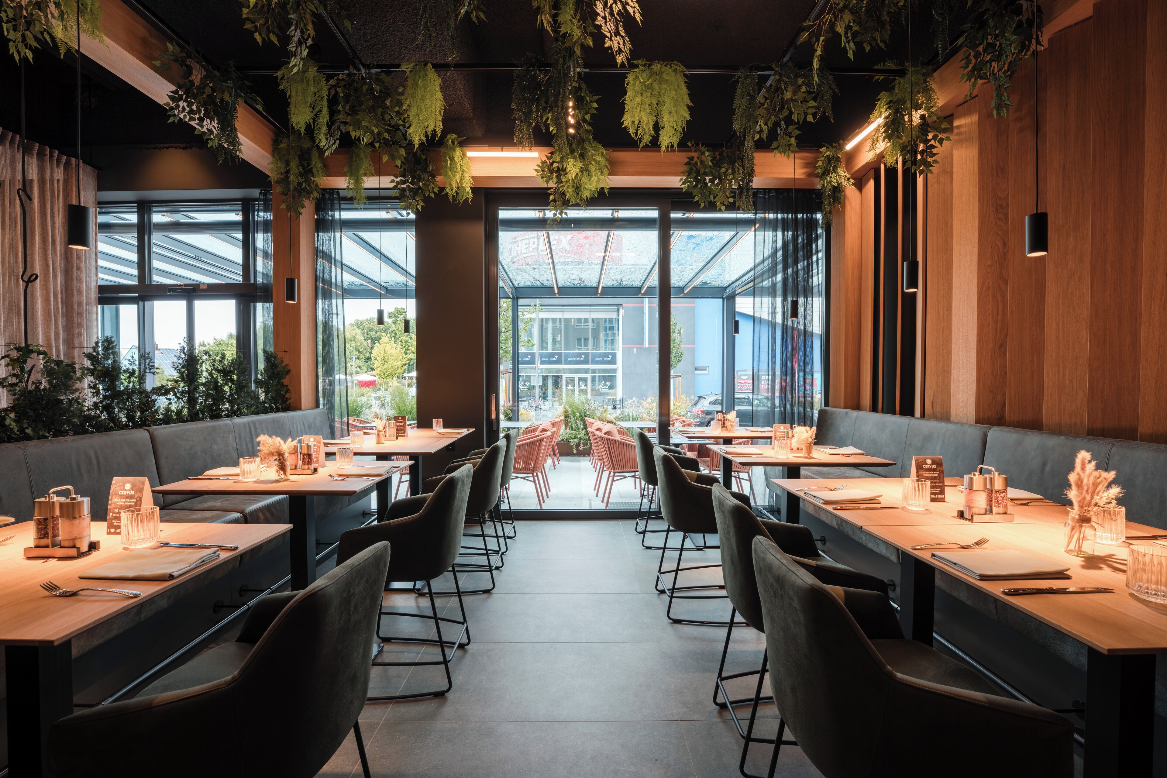 供应晚餐，国际美食