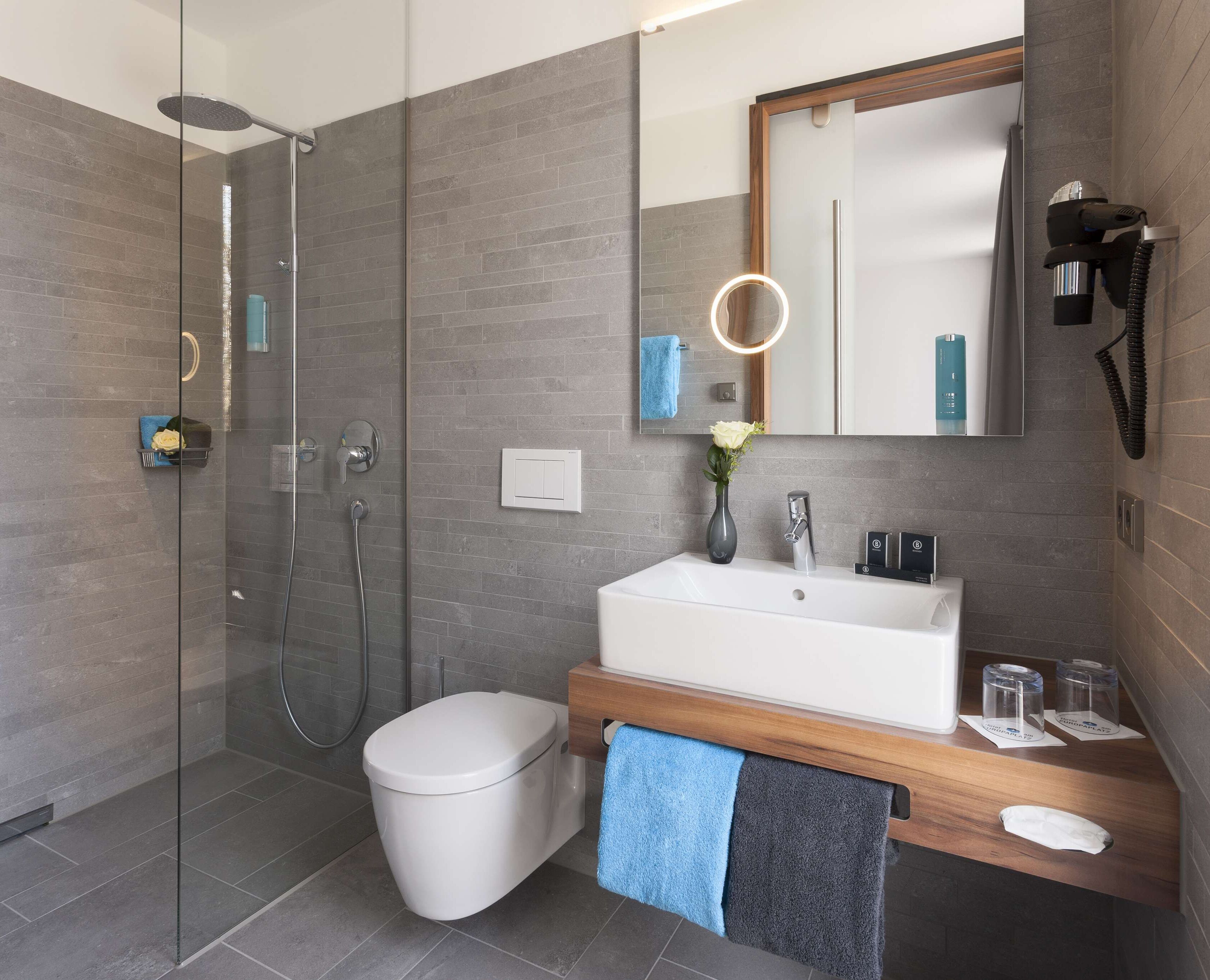 executive room, 1 double bed (converts to 2 twin beds) | bathroom | shower, hair dryer, towels, soap