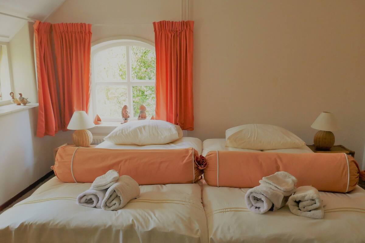Standard Twin Room | Down duvets, soundproofing, iron/ironing board, cots/infant beds