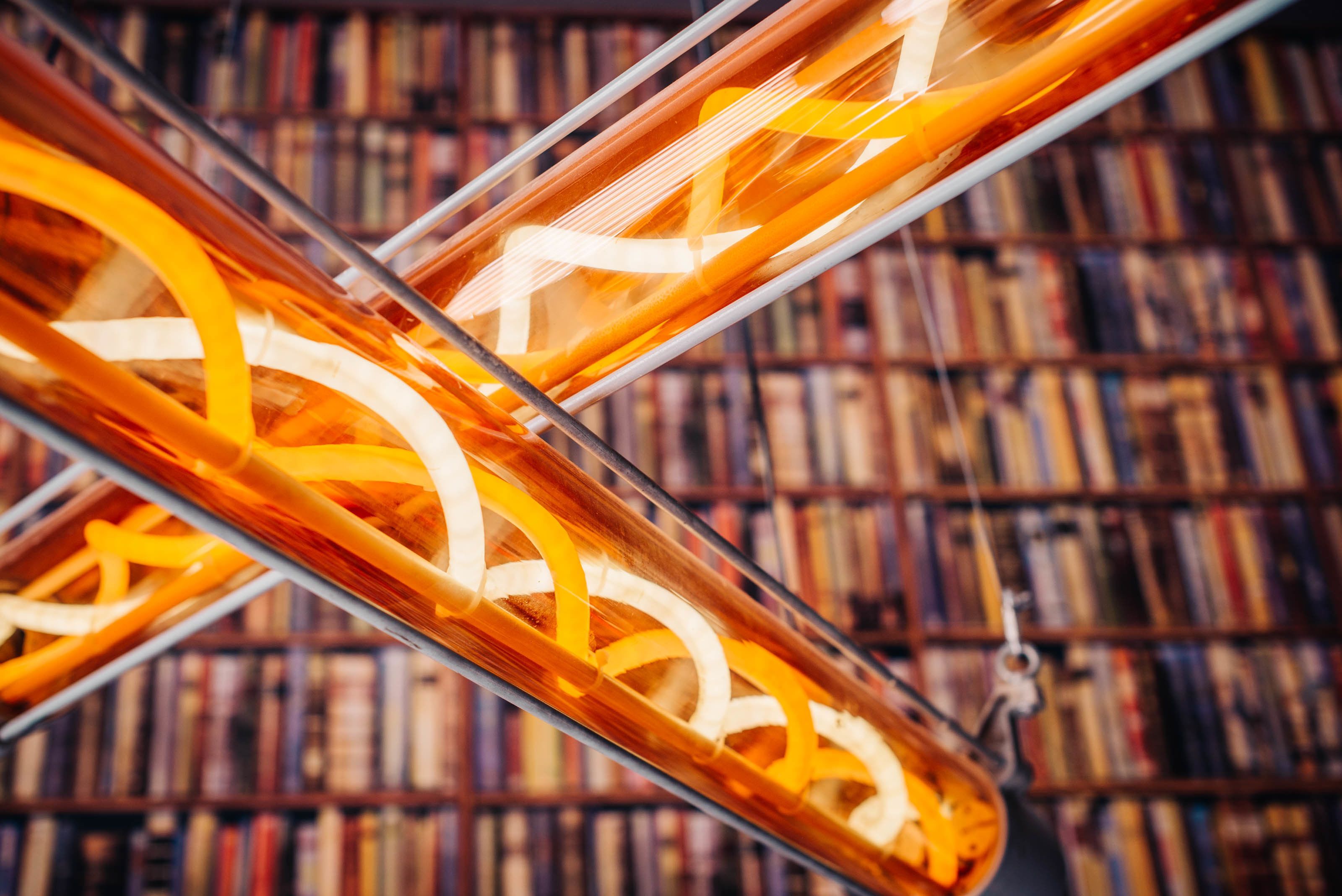 family loft, 2 bedrooms | 1 bedroom, premium bedding, memory-foam beds, minibar