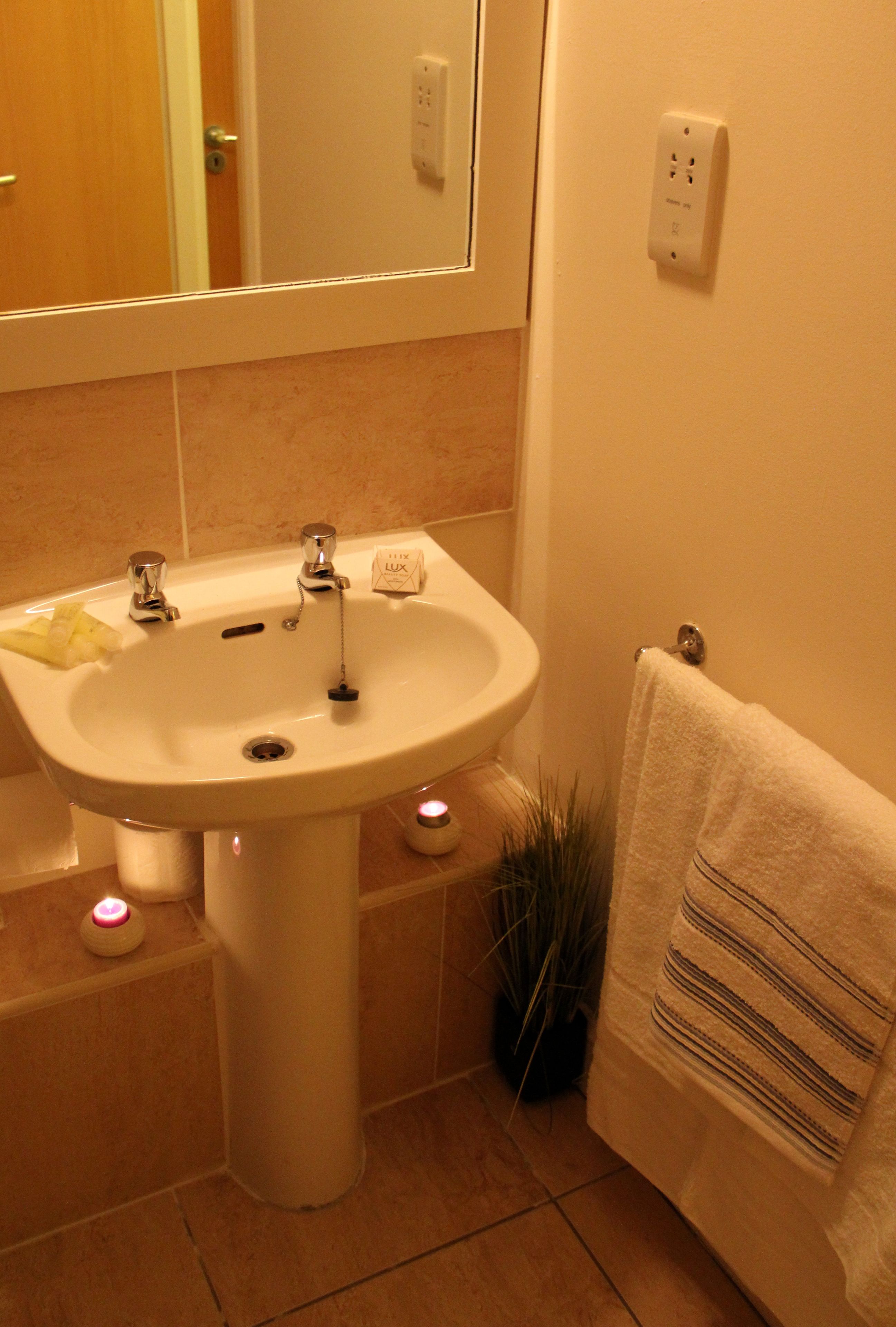 Un baño con lavamanos blanco, espejo, toallero y planta en maceta.