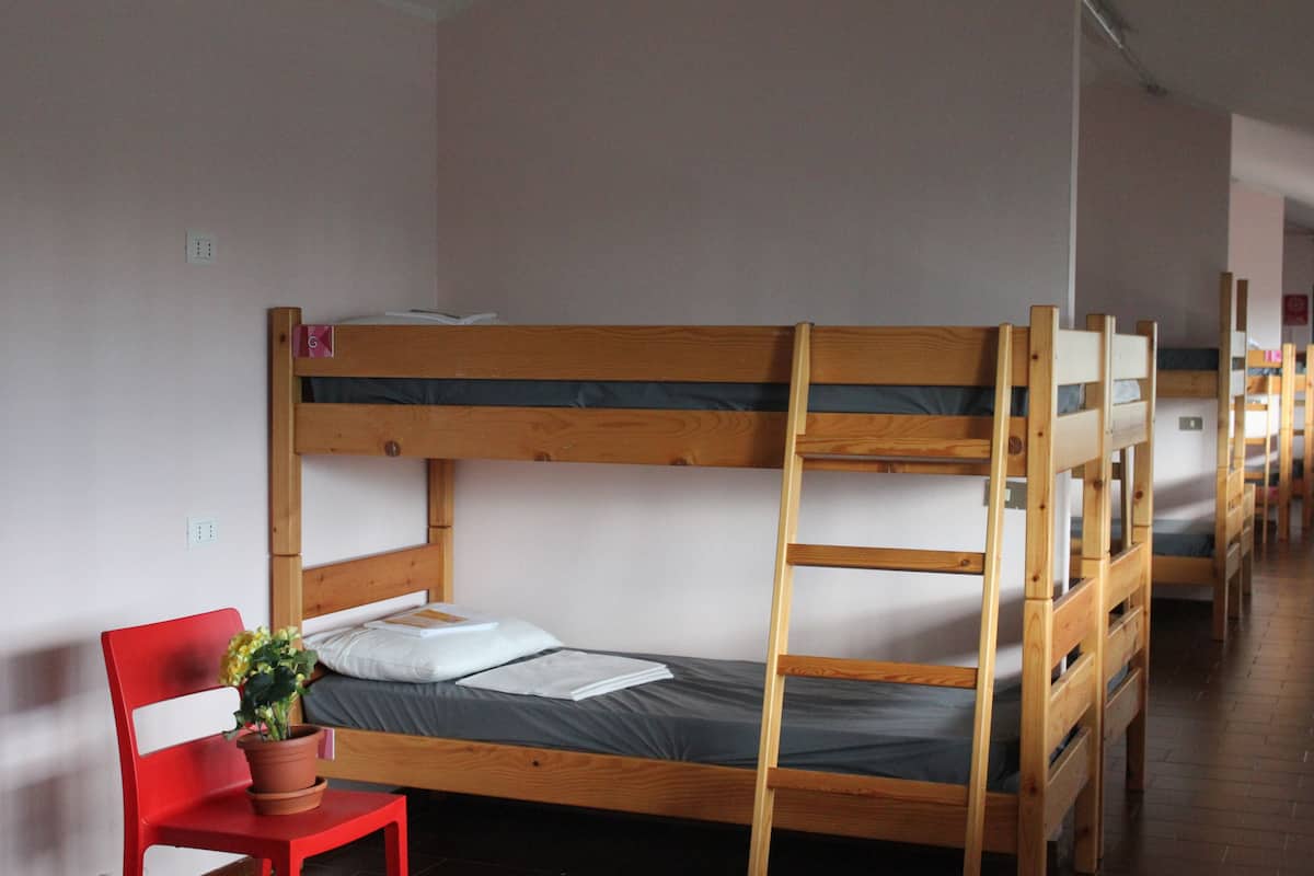 A bunk bed room with a red chair and a potted plant.
