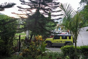 Un SUV amarillo estacionado en un jardín exuberante con diversas plantas y un árbol alto.