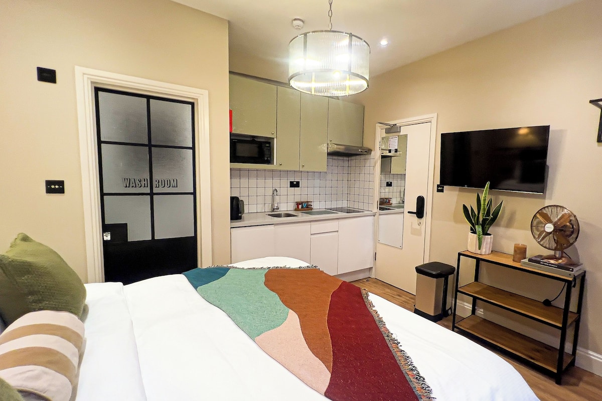 A hotel room with a bed, a TV, a small table with a plant, a fan, and a kitchen area with a microwave and sink.