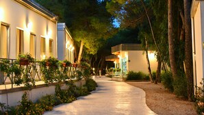 Un sendero bordeado por edificios con ventanas iluminadas y plantas en macetas, que conduce a un edificio con puerta azul.
