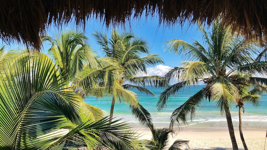 The Beach Tulum Hotel