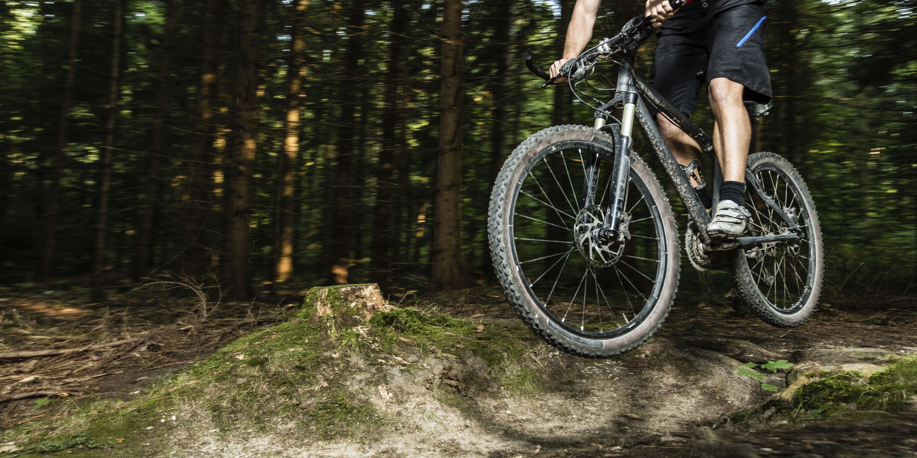A person riding a mountain bike on a forest trail.