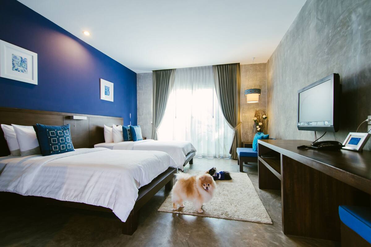 A hotel room with two beds, a desk, a TV, and a small dog.
