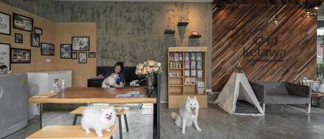 Ein moderner Hotel-Empfangsbereich mit Holzmöbeln, einer Rezeption, einem Bücherregal und einer zeltartigen Konstruktion.