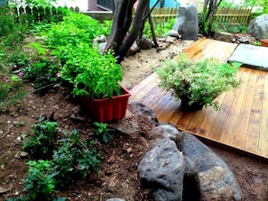 施設からの眺望