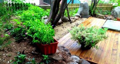 iCOS Guesthouse 2 for Female - Hostel