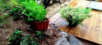 iCOS Guesthouse 2 for Female - Hostel