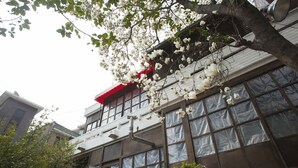 Un bâtiment doté de grandes fenêtres, d’un auvent rouge et d’un arbre aux fleurs blanches.