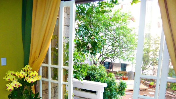Une vue à travers une fenêtre avec des rideaux, un banc blanc et un jardin où l’on peut voir différentes plantes et un arbre.