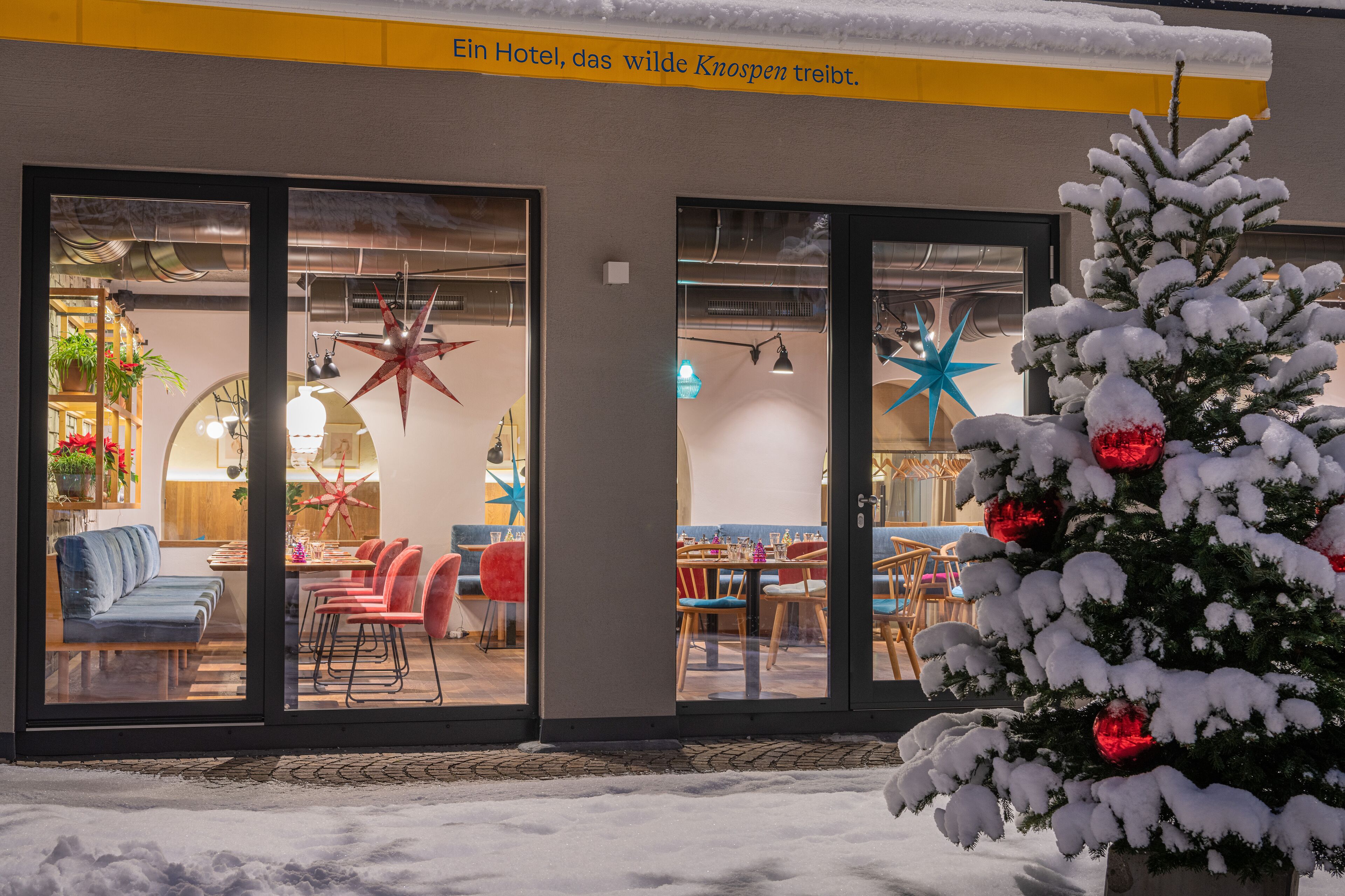Entrada de un hotel con amplias puertas de vidrio, un árbol de Navidad cubierto de nieve y un adorno con forma de estrella en la pared.