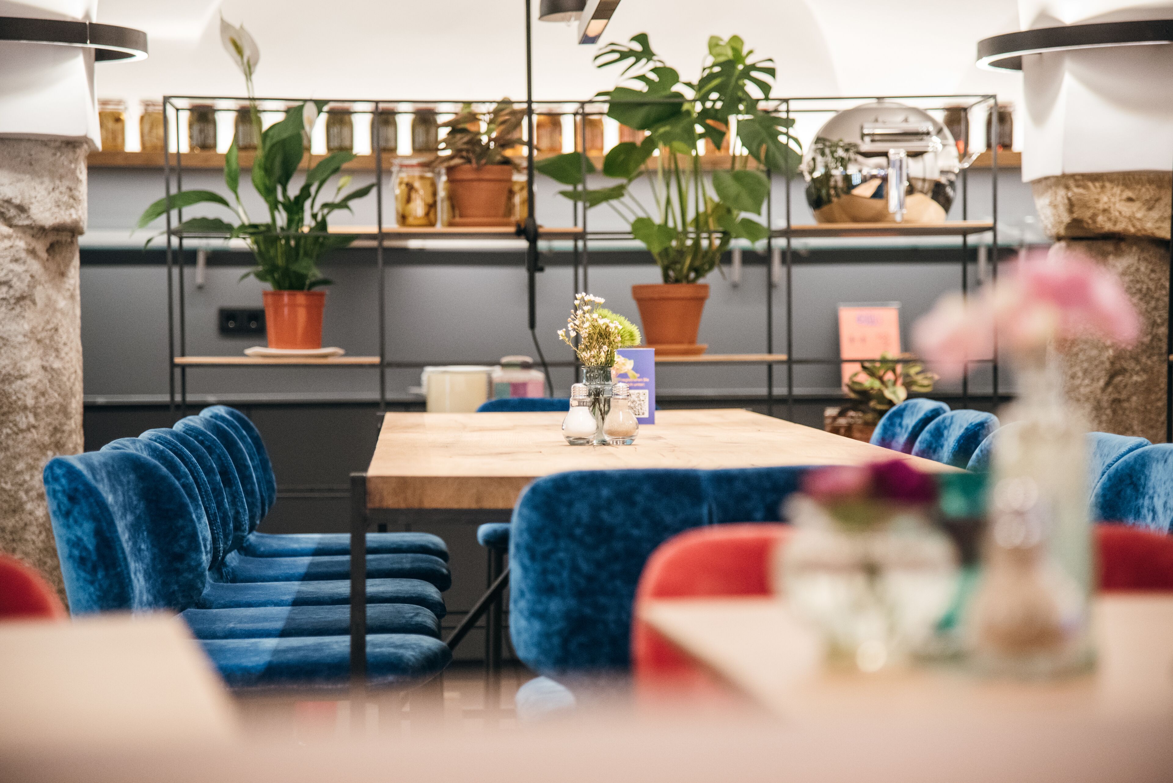 Un restaurante con sillas de terciopelo azul, una mesa de madera y plantas en macetas sobre estanterías al fondo.