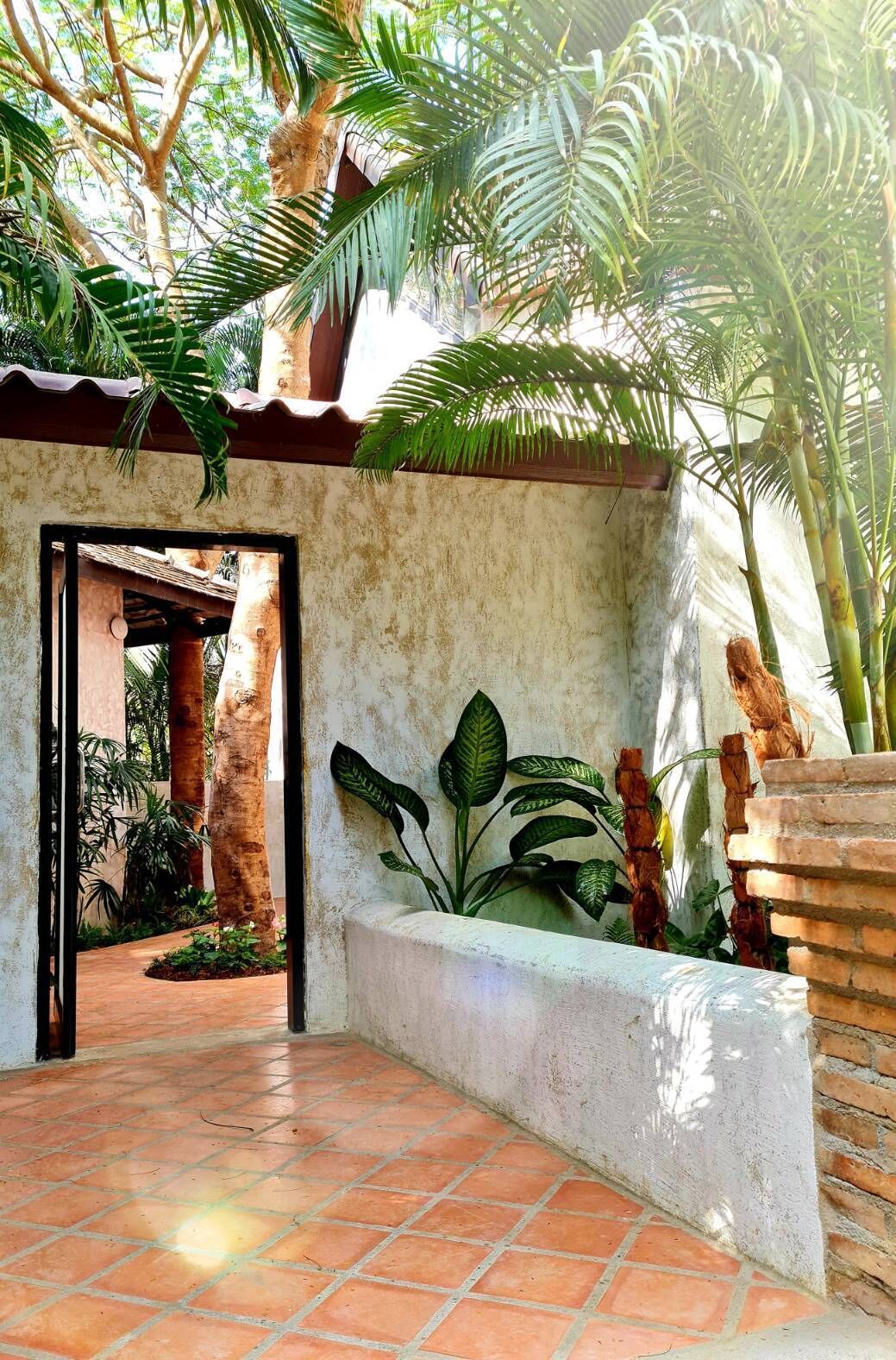 A courtyard with a tiled floor, a white wall, and various plants including a large palm tree.