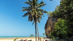 Una playa con palmeras, sillas de playa y un acantilado rocoso.