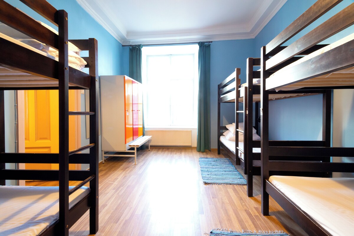 A dormitory room with bunk beds, a wardrobe, and a window with curtains.
