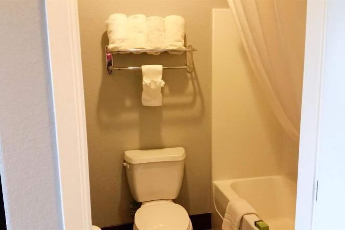 Combined shower/bathtub, free toiletries, towels, toilet paper