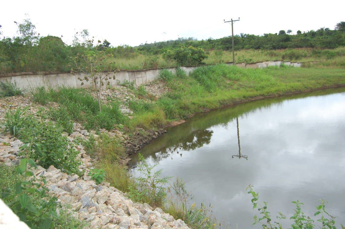 Photo - Konkon Wonderland