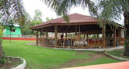 Konkon Wonderland