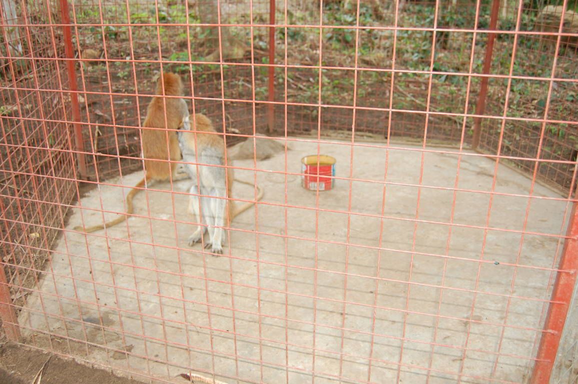 Photo - Konkon Wonderland