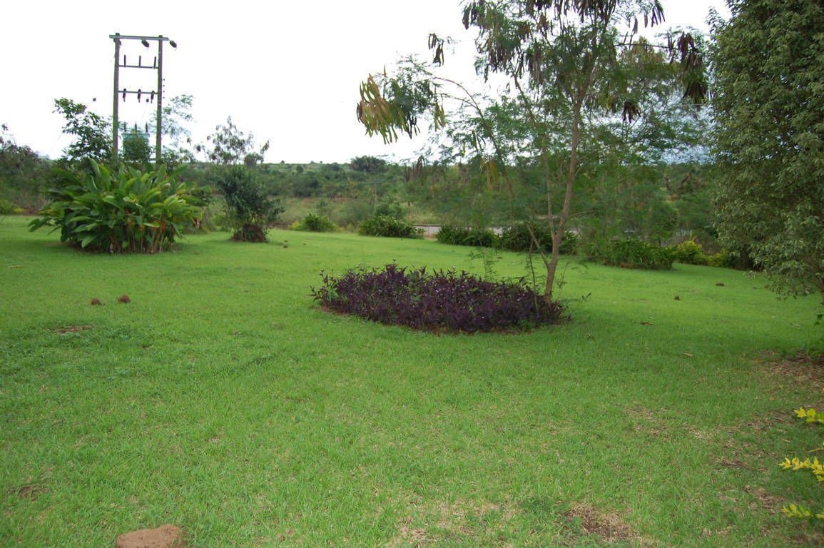 Foto - Konkon Wonderland