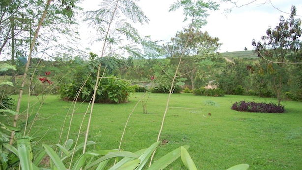 A lush garden with various plants and trees, a well-maintained lawn, and a small water feature.