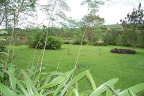 A lush garden with various plants and trees, a well-maintained lawn, and a small water feature. - Konkon Wonderland (Bawjiase)