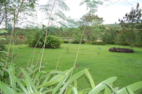 Property grounds. Konkon Wonderland