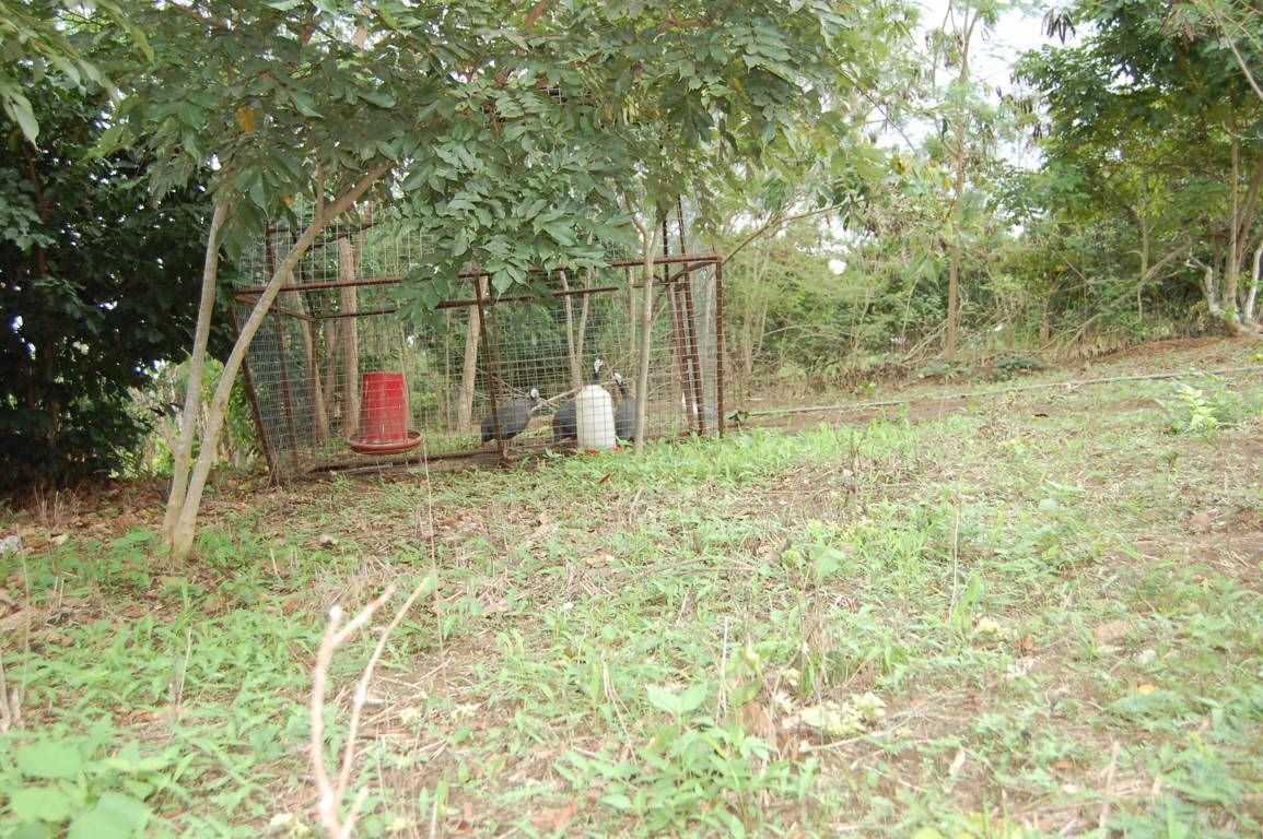 Photo - Konkon Wonderland