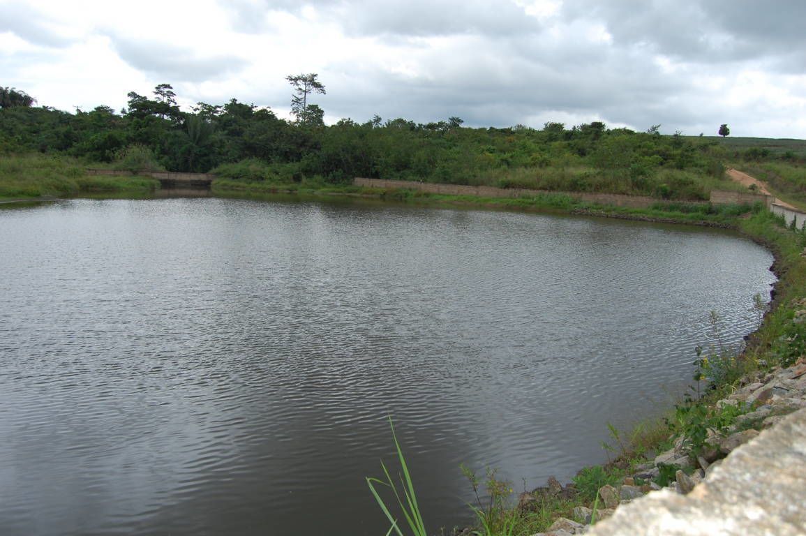 Photo - Konkon Wonderland