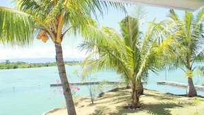 Une vue sur une plage tropicale, avec des palmiers et une mer d’un bleu limpide.