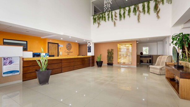 Un espace d’accueil d’hôtel avec un comptoir de réception en bois, une grande plante en pot et un coin salon comprenant un canapé et des fauteuils.