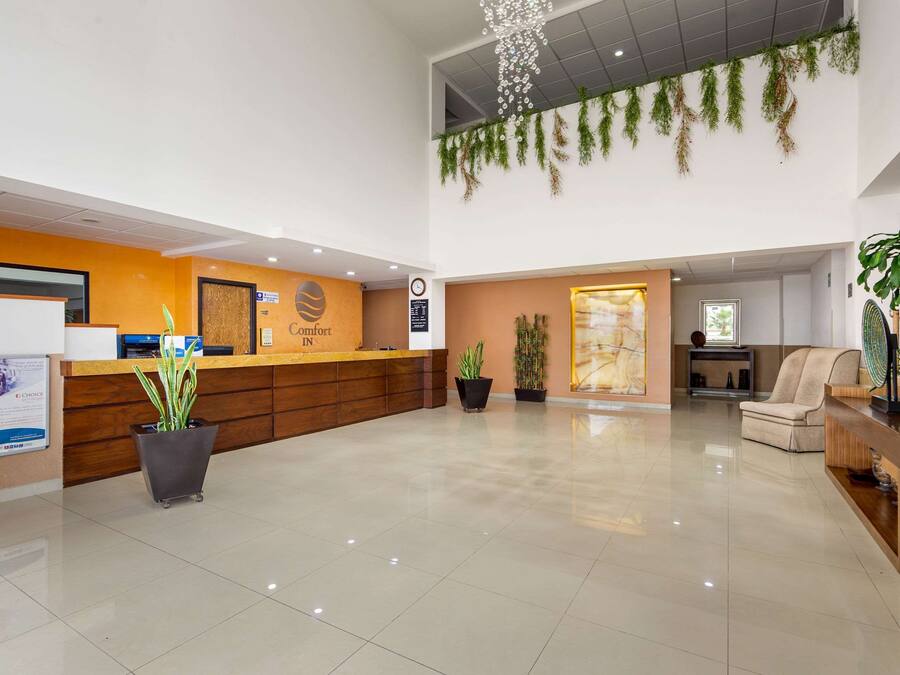 Uma área de recepção de hotel com um balcão de madeira, um vaso de planta grande e um espaço de estar com sofá e poltronas.