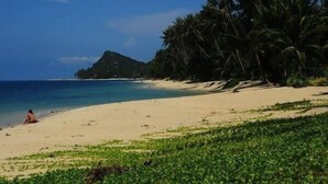 A beach with a person sunbathing, palm trees, and a mountain in the background. - New Sunrise Village Bang Po Beach (Koh Samui)