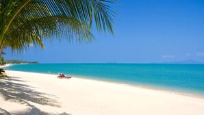 A beach with a clear blue sea, a white sandy shore, and a palm tree. - The Cosy Beach Resort (Koh Samui)