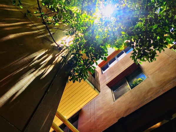 Exterior - Banilah (Chiang Mai)