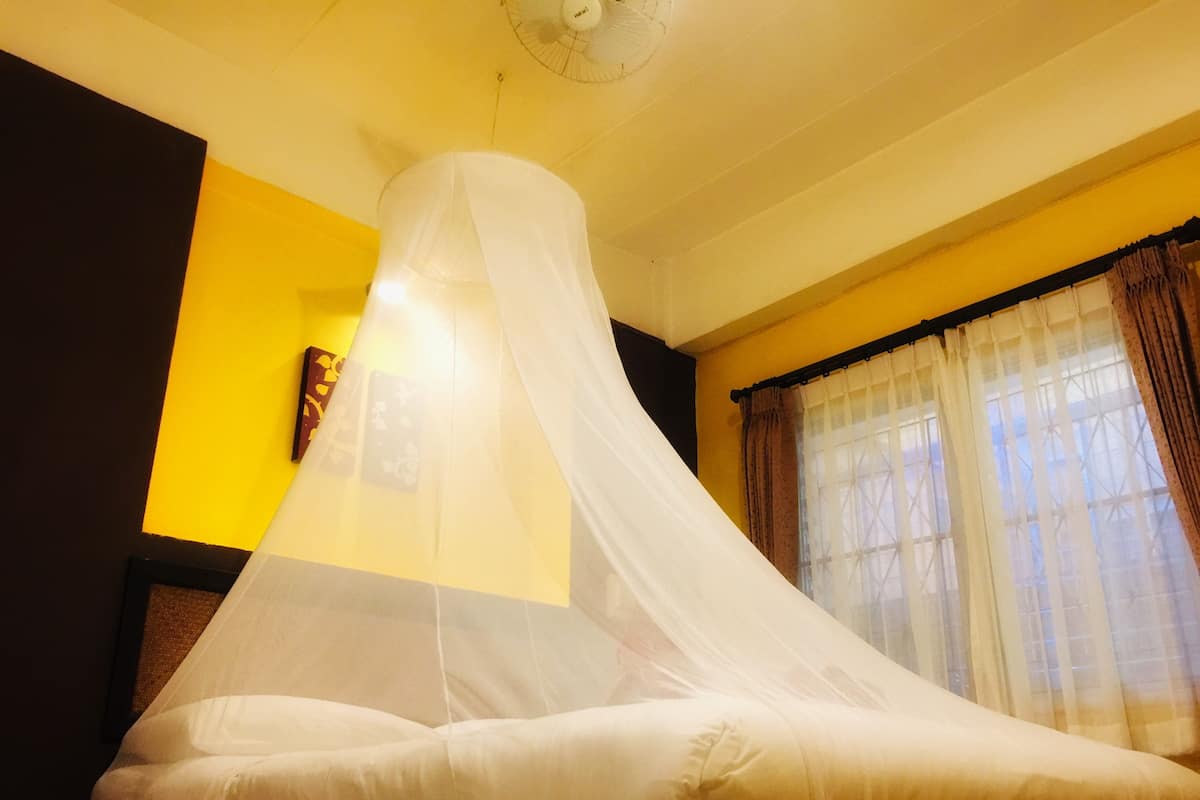 Desk, free WiFi, bed sheets